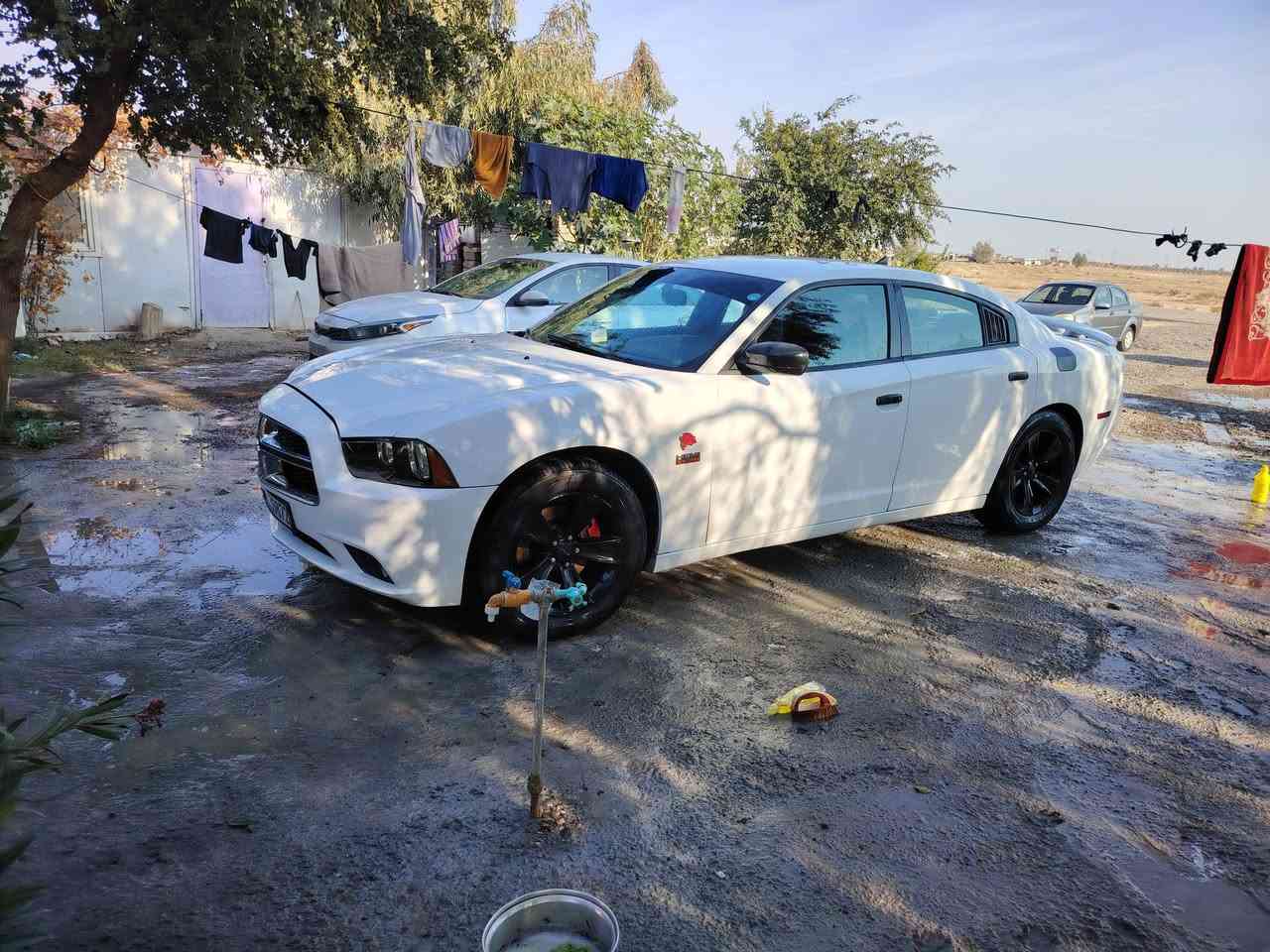 السلام عليكم شارجر بوليسي تو يل اصل 2013 RT ماشيه 118 مايل رقم اربيل بسمي كل تفاصيله موجوده بل منشور  السعر 145
*********** بغداد مدينه الصدر
