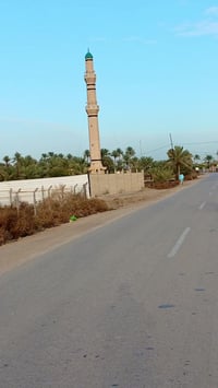 بابل المحاويل • طابو زراعي • ٥٠٠م