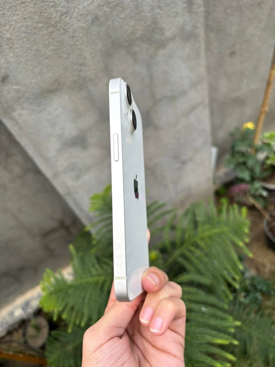 ايفون 14 عادي ذاكرة 128بطارية 85 ماستر شرق اوسط نموذج M الأصلي مامفتوح ولامبدل بي شي وتربروف عالفحص نظافة 100‎%‎ شخط واحد مابي
السعر 500 قفل


**إذا كنت صاحب هذا الإعلان وتريد حذفه لأي سبب، رجاءا أرسل رسالة إلى الدعم الفني**