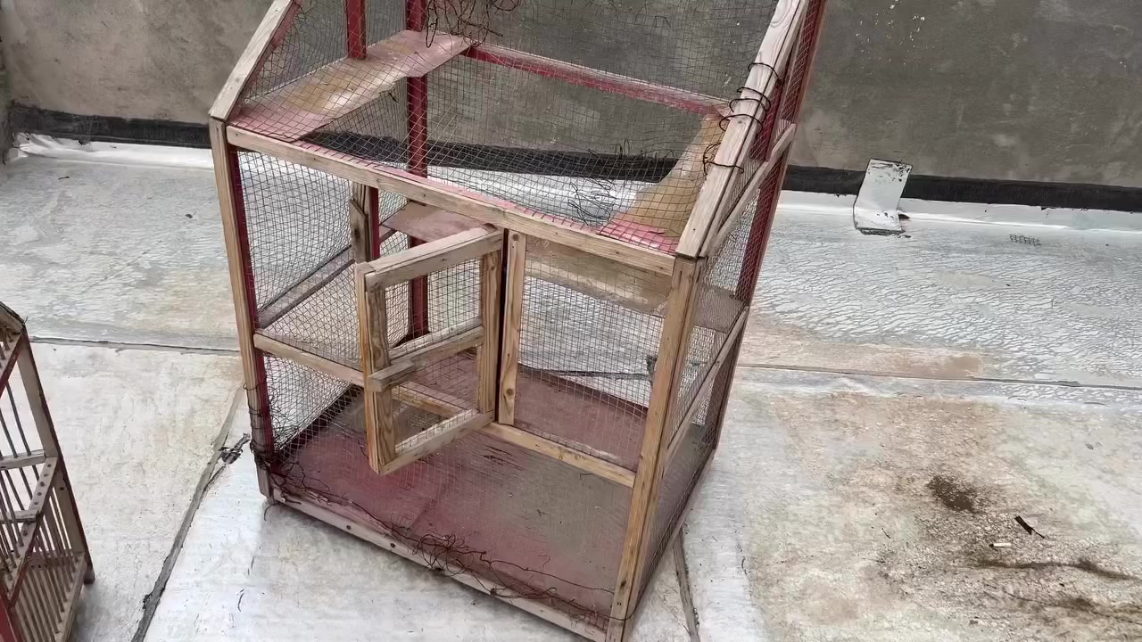 *********** ب٢٥ الف
