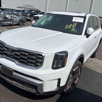 تلورايد • ٢٠٢٤ • ميناء ترهم