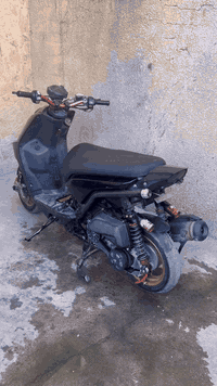 …. سكنس جبلي للبيع مزوده التزويد البيه… _1ستيرن كرزي 2-قبق عنبار  3-يد...