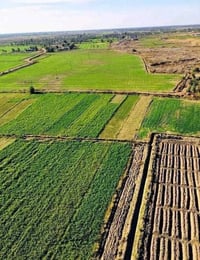 ١٥ دونم • ٧ دونم • طابو زراعي