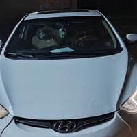 النترا • ٢٠١٥ • قم