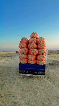تبن • قش • علف حيوانات • تبن مكبوس • بالة تبن