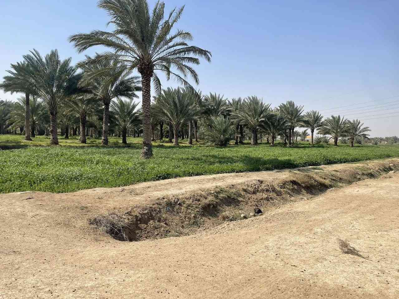 للبيع مساحة دونم ‏الواجهة50 في 50 متر
طابو سند 25 (تحويل أسهم بإسم المشتري) متوفرة كافة الخدمات (تبليط /ماء/ كهرباء/ مدارس/ مركز صحي/ الموقع كربلاء - شارع رابط الزبيلية يبعد عن شارع نجف كربلاء 3 كيلو يبعد عن شارع طويريج كربلاء سيطرة الإبراهيمية 3 كيلو يبعد عن مركز مدينة كربلاء الإمامين(ع) 8 كيلو 

/*********** /***********
