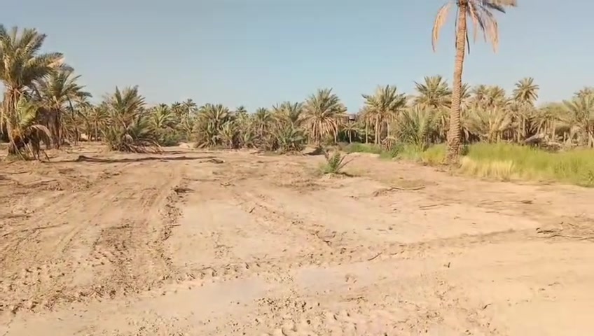 للبيع – أرض زراعية في كربلاء / طويريج قريب عل السيطرة الابراهيميه
- المساحة: دونم وربع
- السند: 25
-
- جميع الخدمات متوفرة
- متوافر كل الخدمات  مستوصف ومدارس وكهرباء وشارع 
- الأرض مروية، ومغلفة، ويتوفر فيها ماء صالح للزراعة
- الموقع: كربلاء – طويريج – منطقة طنوبة

للاستفسار والتواصل ***********

