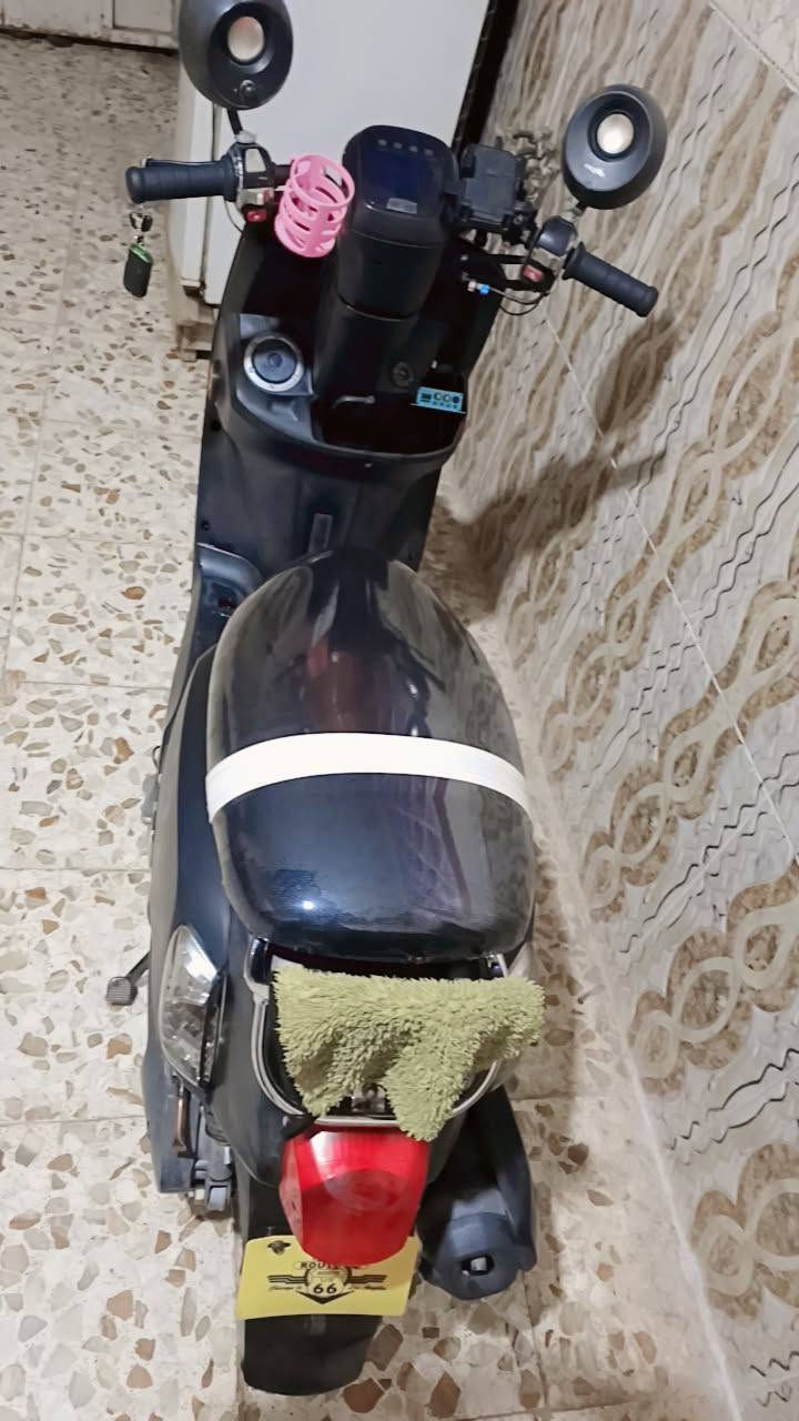 للبيع ناصريه سوق الشيوخ
شعر خاص على هذا الرقم786 919 0098


**إذا كنت صاحب هذا الإعلان وتريد حذفه لأي سبب، رجاءا أرسل رسالة إلى الدعم الفني**