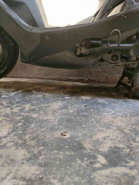 اسلام عليكم شباب عندي ثعلب جديدة اريد اراوسهة ب ماجستة ونطي فرق
*********** م البياع
