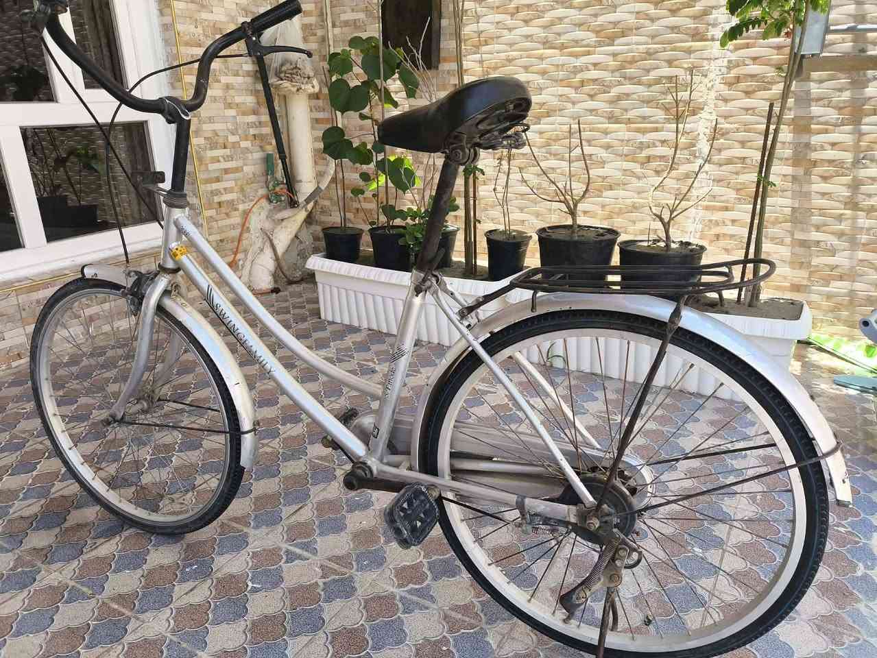 باسكل للبيع حجمه 24 مكان الدوانيه سعر 65


**إذا كنت صاحب هذا الإعلان وتريد حذفه لأي سبب، رجاءا أرسل رسالة إلى الدعم الفني**
