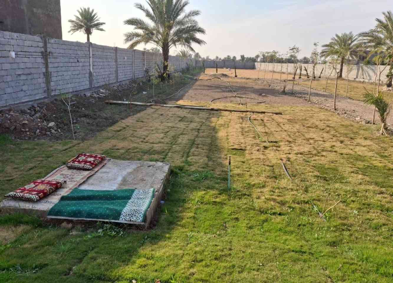 للبيع مزرعه مع بيت كامل  نص دونم  مع اثاثها درجه اولا  جاهزه للسكن بناء درجه اولا جنس الارض طابو زراعي للستفسار ***********
