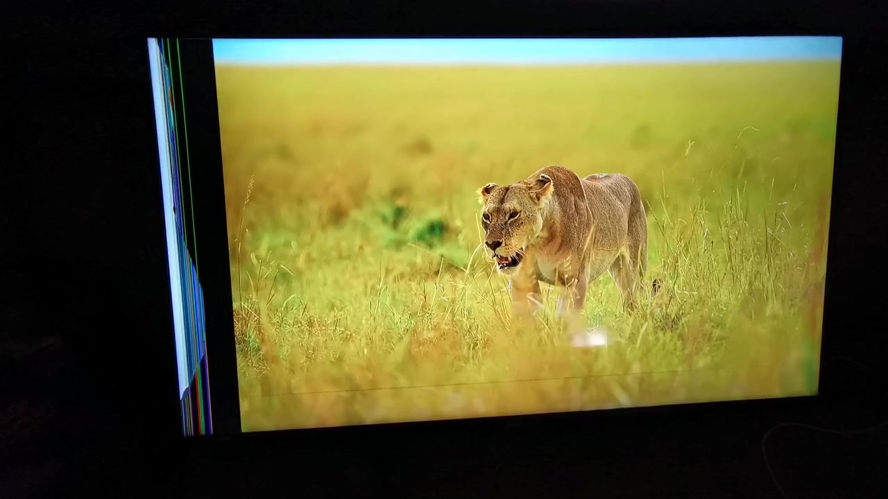 سلام عليكم عندي شاشه نوع سامسونك اصلي باله أوربي الحجم 50 4k سامسونك 7سريس اسمارت انترنت بي ظرار مثل موضح ب فديو السعر 120 العنوان البياع حي الرساله الأولى قرب مدينة العاب الكرخ تلفون ***********
WhatsApp +964***********
