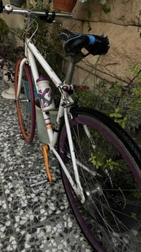 باسكل C700 • حي العامل • نضيف