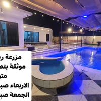 07742275466
