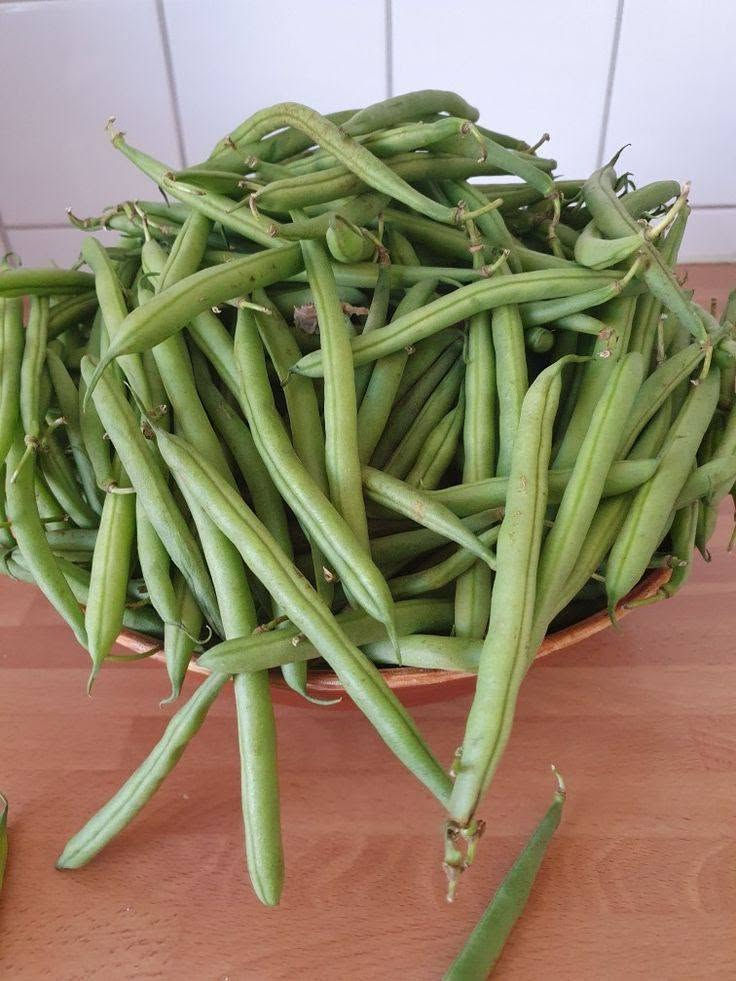 🌞 بهذا الحر... ليش تتعب نفسك؟

خلّ مسوكجي النجف ينجز مشاويرك عنك!

🥒 خضار طازجة
🍎 فواكه مختارة
🚗 توصيل سريع إلى باب البيت

وفر وقتك، وابتعد عن زحمة الأسواق وحرّ الشمس.

📩 راسلنا بطلبك، وخلي الراحة علينا.***********

مسوكجي النجف... مشوارك علينا، وراحتك هدفنا. 💚
