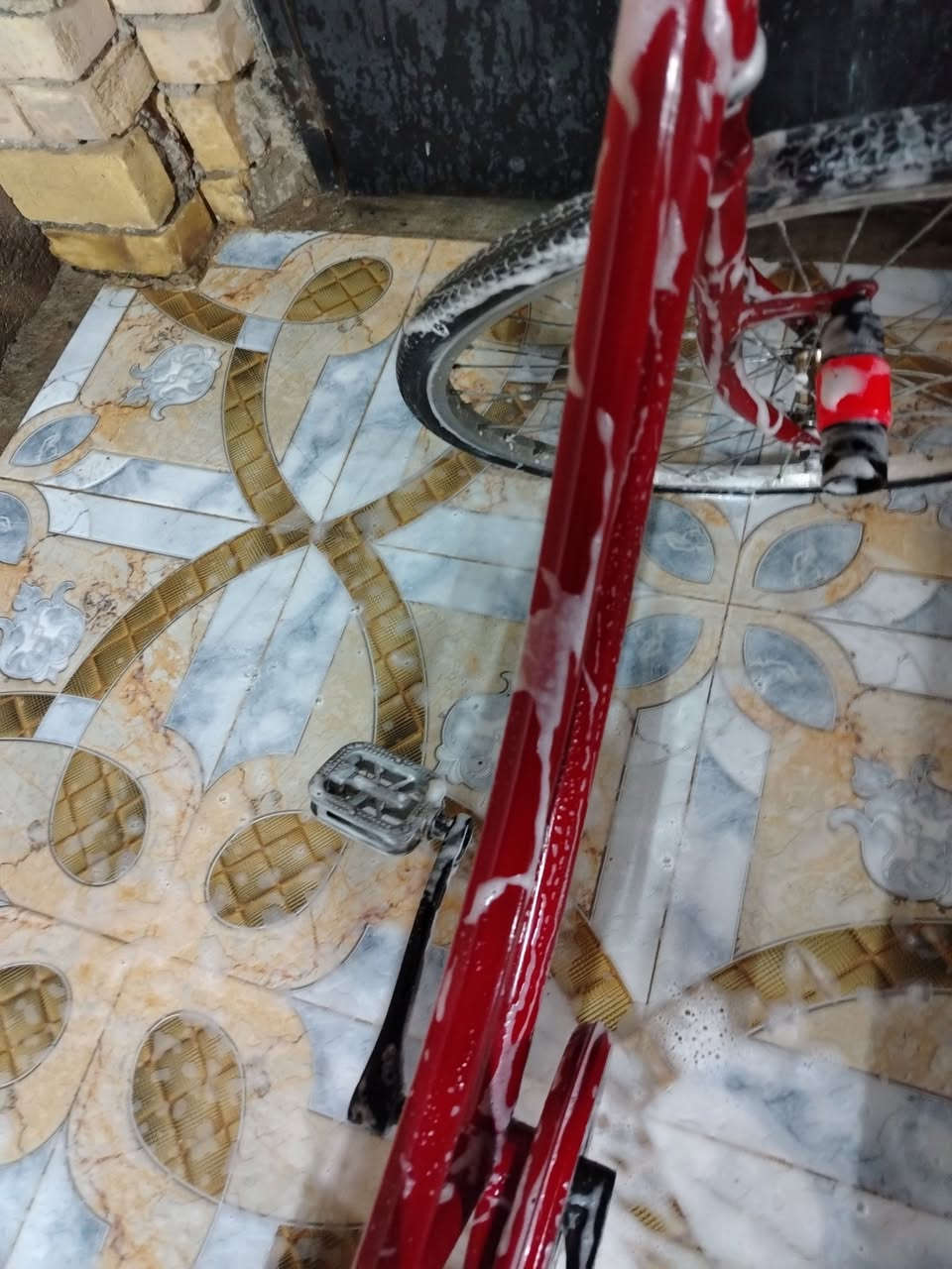 بايسلك البيع مصبوغ صبغ حراري شرط عوزة فقط تصفية ويل كدم و الزكات شركة بيدي البيسكل جاهز من كلشي تجي وتشوف  ب70 وبي مجال مكاني شطره شوملي متوجد فقط وتساب***********مو شراي لاتراسل
