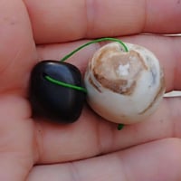 عطفه قديمه • طاقة روحانية • عقد لسان