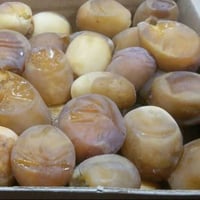 نخلة برحي • تمر درجة أولى • عمر ٢٠ سنة