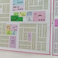 المحمودية جنوب بغداد • 150م • شارع15 نافذ