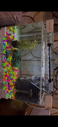 حوض سمك • ٤٥×٣٥ • ملاحقات