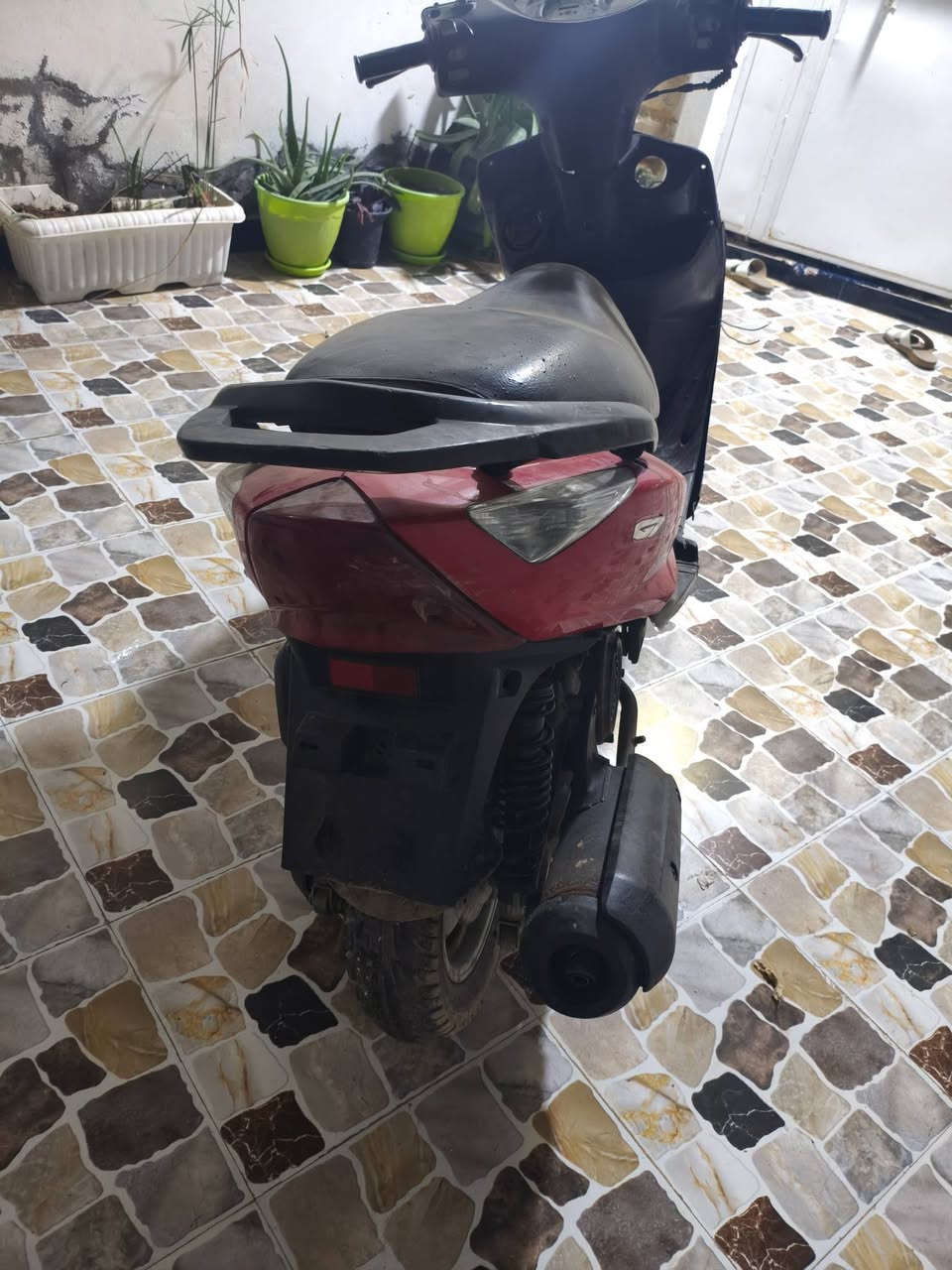 دراجه لبيع ثعلب طافيه ابيع كوم حديد


**إذا كنت صاحب هذا الإعلان وتريد حذفه لأي سبب، رجاءا أرسل رسالة إلى الدعم الفني**