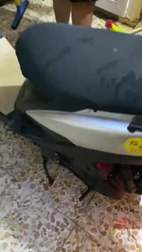 ماكس منغولي • نضيفه • ما ينقصها