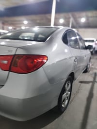 النترا 2010 • كشنات جلد • البصره