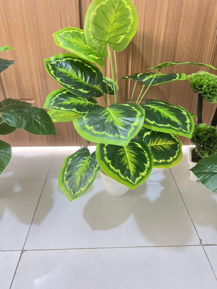 توصيل داخل نجف مجاني محافضات ٥٠٠٠


**إذا كنت صاحب هذا الإعلان وتريد حذفه لأي سبب، رجاءا أرسل رسالة إلى الدعم الفني**