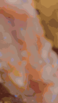 متوفر سمك مقلي 

للطلب والاستفسار الاتصال على الارقام 

***********
***********
