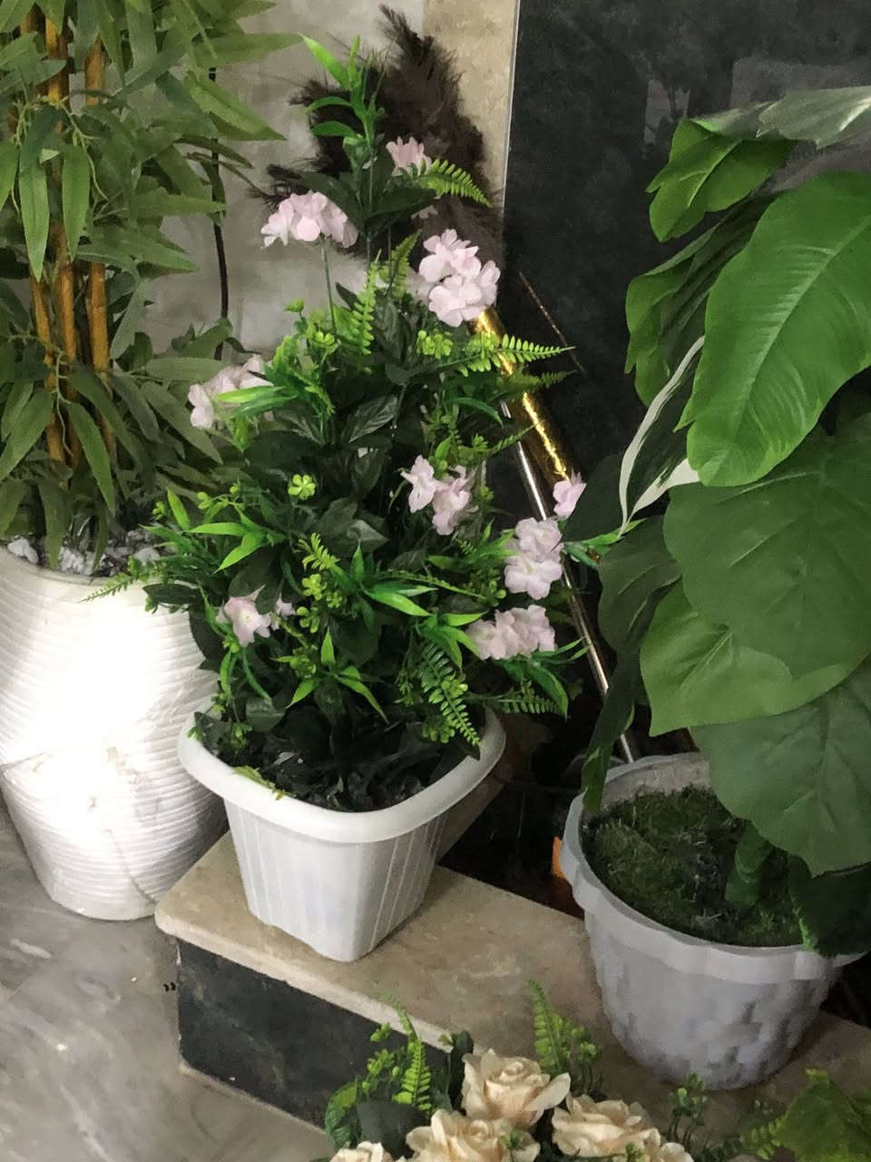 قطع اخيره السعر جدا مناسب سته سنادين الشراي خاص يغدااد الشعب


**إذا كنت صاحب هذا الإعلان وتريد حذفه لأي سبب، رجاءا أرسل رسالة إلى الدعم الفني**