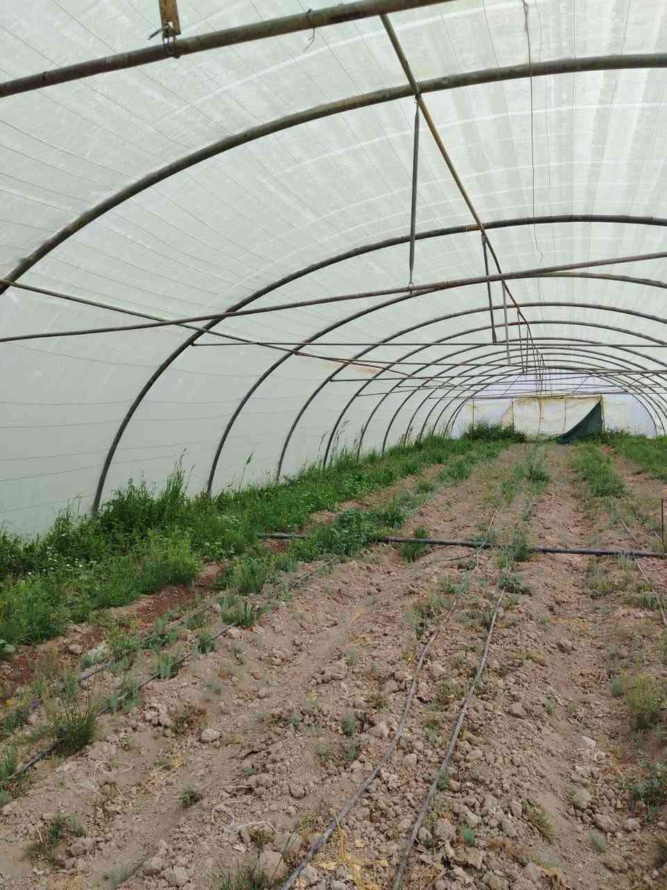 السلام عليكم عندي ثلاث بيوت
النوع لبناني 22 قوس الطول 52 متر العنوان ديالى ***********
