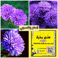 ✋ متوفر مغلفات بذور منها موسمية ودائمية البذور تاريخ انتاجها ٢٠٢٥-٢٠٢٤...