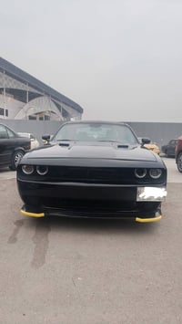 جالنجر البيع ترهم مراوس موديل 2014  مصبوغه حزام جماليه  بيه ضربه جاملغ...