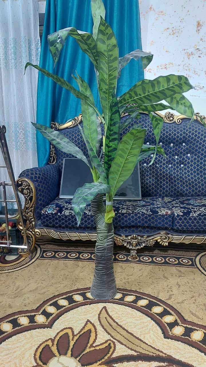 السلام عليكم غراض للبيع مكاني السماوه


**إذا كنت صاحب هذا الإعلان وتريد حذفه لأي سبب، رجاءا أرسل رسالة إلى الدعم الفني**