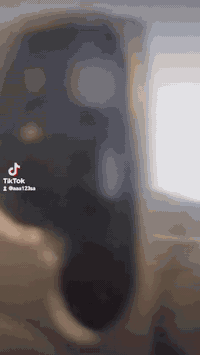 سونك • موديل ٢٥ • الكوت البتار