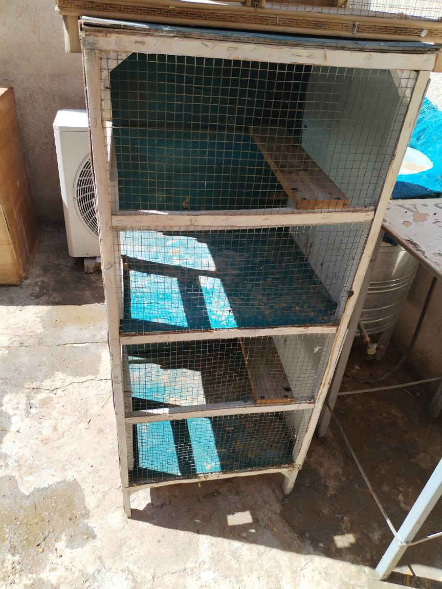 اقفاص دجاج ٣ كبير خشبية.. واخد صغير وقفص كبير بلابل.. سعرهن كلهن.. ١١٠..اتصال ***********.. العنوان حي العامل.. قرب ساحة الاحرار كربلاء, العراق
