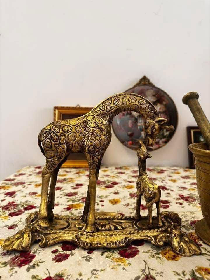 قطع وانتيكات نحاس
للاستفسار خاص


**إذا كنت صاحب هذا الإعلان وتريد حذفه لأي سبب، رجاءا أرسل رسالة إلى الدعم الفني**