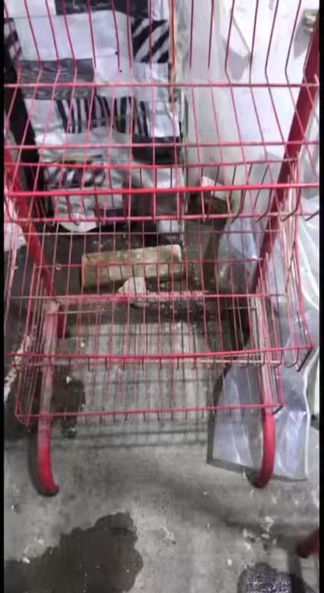 اغراض محل كامله
اغراض محل كامله
ثلاجتين الخضره ب ١٧٥الف
البرتقاليه ٢٠٠
سلتين جبوسه ب ١٥الف الوحده
ميزان ب ١٥ الف شغال
مجمده ب ١٢٥ الف
رفوف عدد ٢٢ الواحد ب ٣ الاف اذا مهتم للشراء اتصل ع رقم
***********
 
‭+٩٦٤ ٧٥١ ٨٥٨ ١٦٦٤‬
