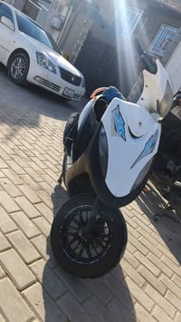 ماكس عدله • بوشة ٥٥ • نشاط فول