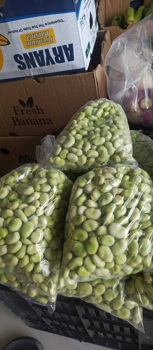 يالله 

رمضان كريم ان شاء الله 

توفرت لدى بركات الزهراء عليها السلام 

باگله مفلسه درجه اولى 

سعر الكيلو ب4000

توجد خدمه توصيل (***********)

عنواني واسط صويره حي الاسرى شارع مدرسه النهرين مقابل مدرسه النهرين.

نعمل لخدمتكم وارضائكم 🩵
