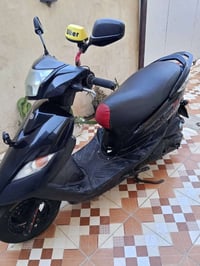 ثعلب • جيتي ار • مزوده