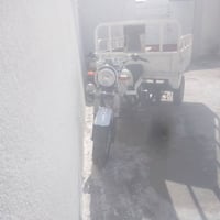 ستوته • ٢٠١٩ • اوراق