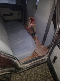 خضراء • مراوس ثانويه • رقم كرتوني