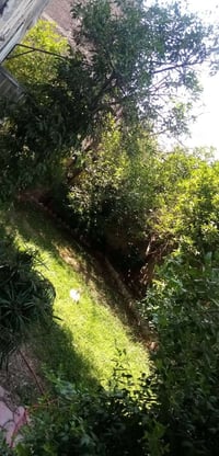 ٣٩٠م • ٣غرف • حديقتين