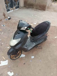 سكنس فحل البيع مكاني بغداد متواجد ع وتساب 07777603851