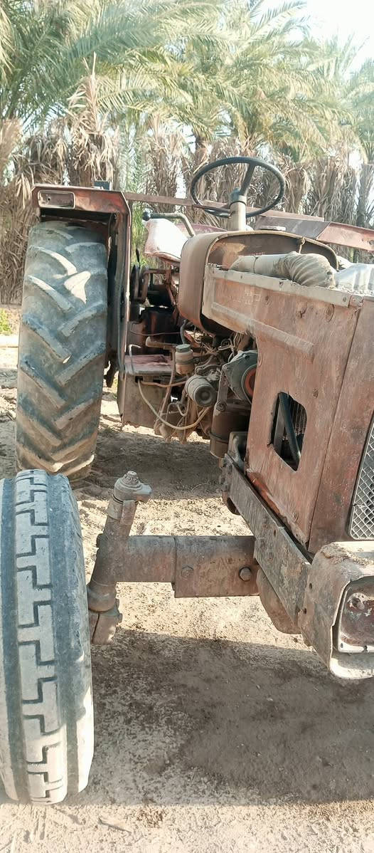 عنتر بدون للبيع الاتصال على هذا الرقم ***********
