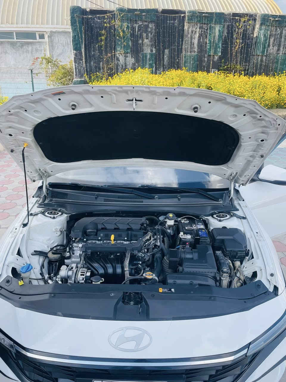 السلام عليكم النترا تجميع صيني
موديل 2024
سياره مكفوله كفاله عامه 

رقم سليمانيه تحويل ثاني يوم 

سياره مكفوله كفاله عامه عدى بارد بجاملغ الايمن بسيط جدا :

فتحه سقف 

كروز سرعه 

تحكم ستيرن 

انضمه قياده 

سايد بريك دكمه 

لايت زنون عدسه 

عينه ديجيتال 

حساسات امامي + خلفي 

كشنات جلد داخل اسود 

تجي بمحرك 1500 دبل

تجي بمواصفات 1/1

السعر ١٣٧
عنوان نجف


**إذا كنت صاحب هذا الإعلان وتريد حذفه لأي سبب، رجاءا أرسل رسالة إلى الدعم الفني**