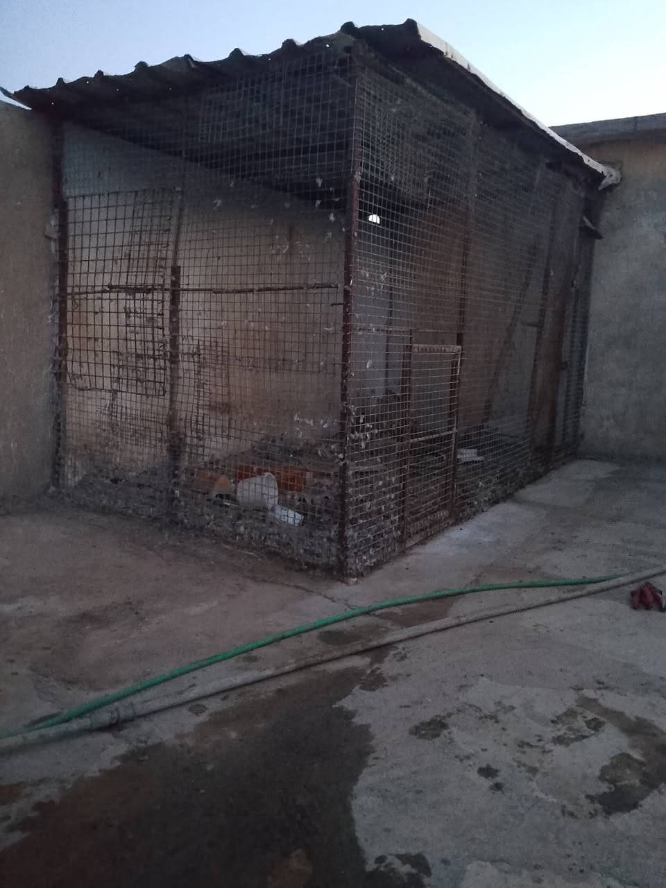 للبيع برج للطيور ١٠٠الف وبي مجال


**إذا كنت صاحب هذا الإعلان وتريد حذفه لأي سبب، رجاءا أرسل رسالة إلى الدعم الفني**