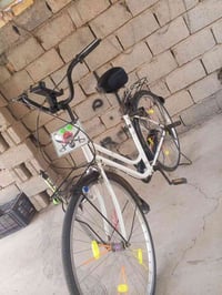 باسكل • نضيف • بلا نقص