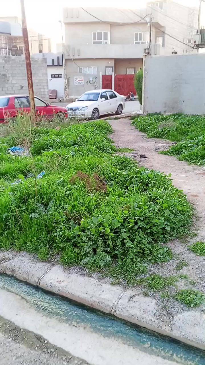 ***********
***********
